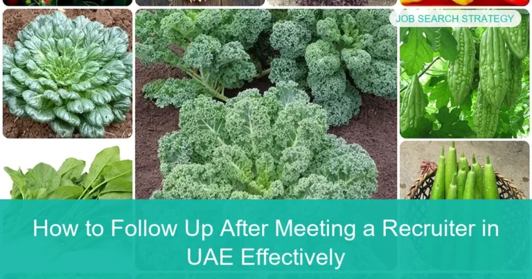 Complete visual guide to How to Follow Up After Meeting a Recruiter in UAE Effectively