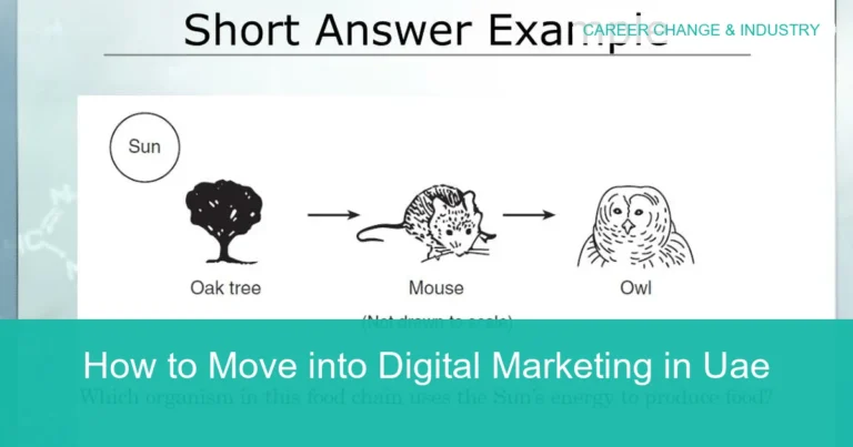 Complete visual guide to How to Move into Digital Marketing in Uae