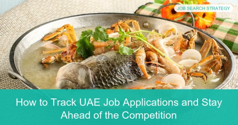 Complete visual guide to How to Track UAE Job Applications and Stay Ahead of the Competition