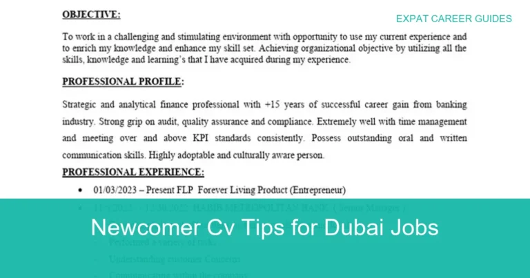 Complete visual guide to Newcomer Cv Tips for Dubai Jobs