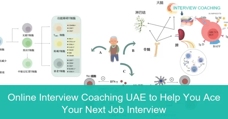 Complete visual guide to Online Interview Coaching UAE to Help You Ace Your Next Job Interview