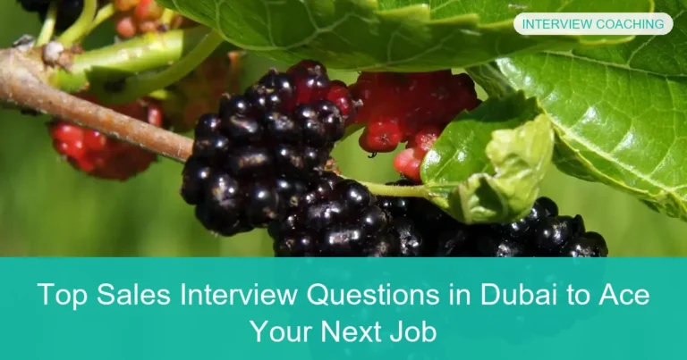 Complete visual guide to Top Sales Interview Questions in Dubai to Ace Your Next Job