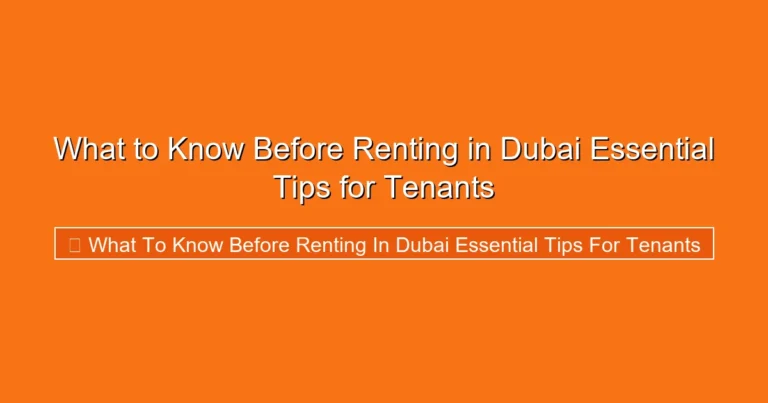 Complete visual guide to What to Know Before Renting in Dubai Essential Tips for Tenants