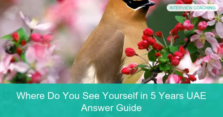 Complete visual guide to Where Do You See Yourself in 5 Years UAE Answer Guide