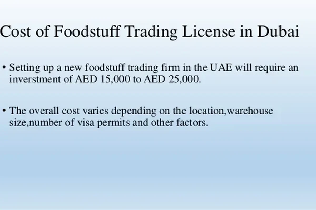 Do Vpns Work in UAE to Access Blocked Content Safely in the UAE