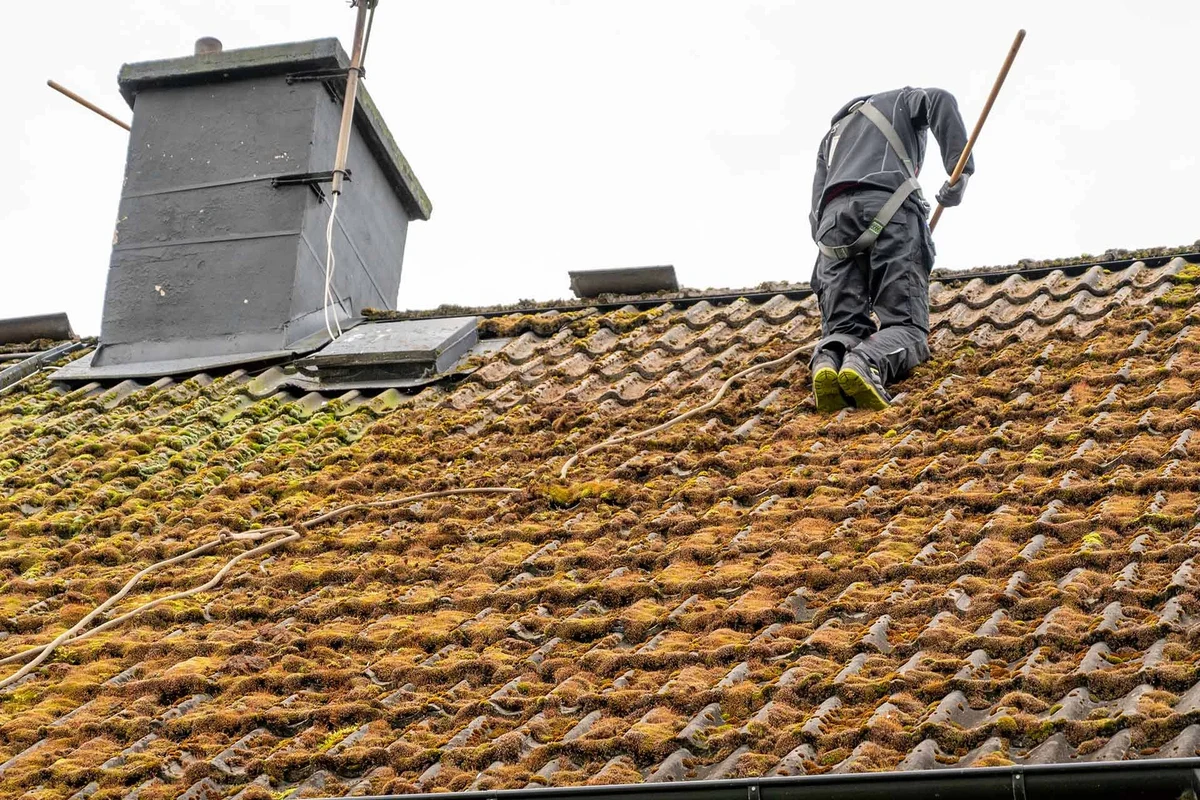 Roof Moss Baking Soda an Effective Natural Cleaning Solution