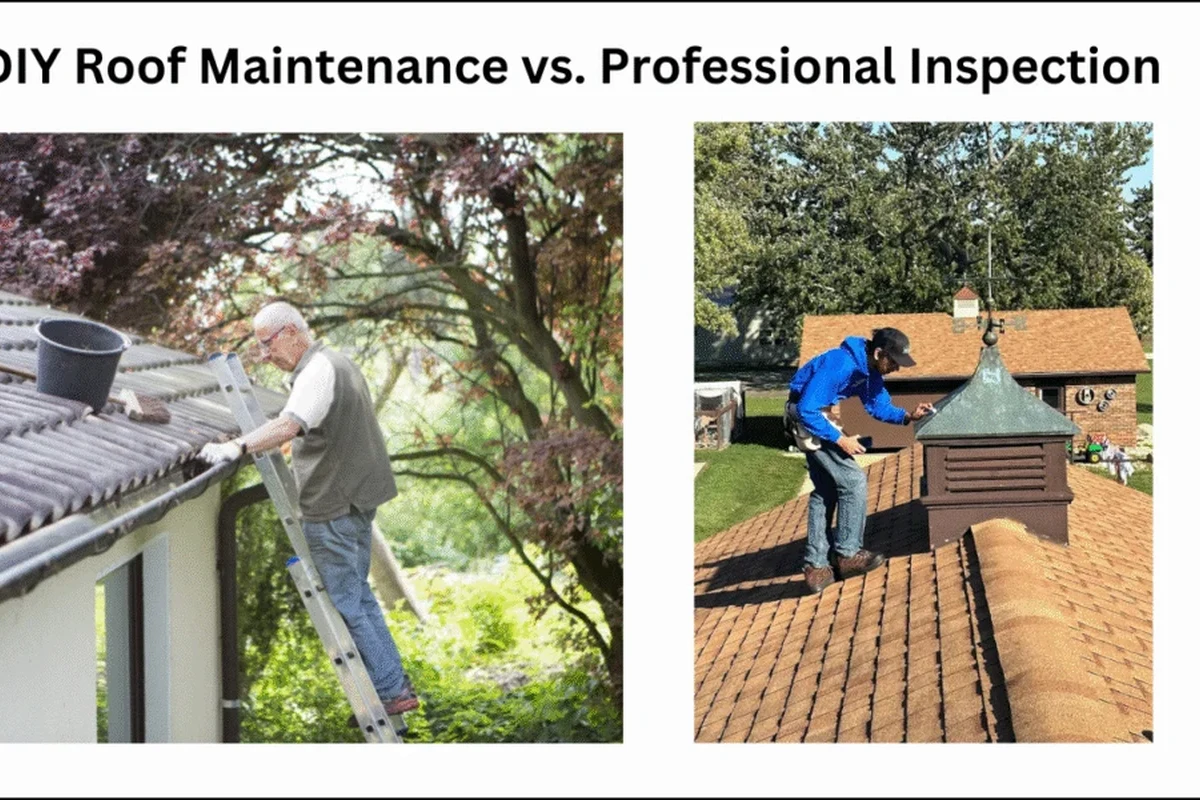 How to Repair Roof Leak Quickly and Save on Costly Damages in the UAE