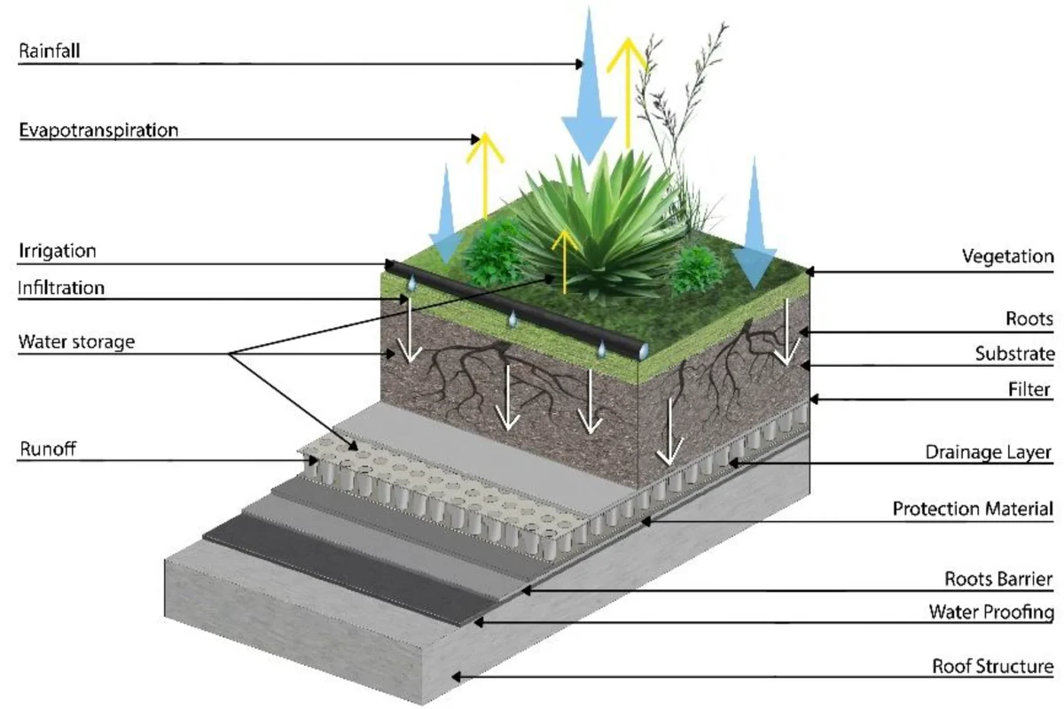 Wet and Forget Roof Moss Easy Way to Restore Your Roofs