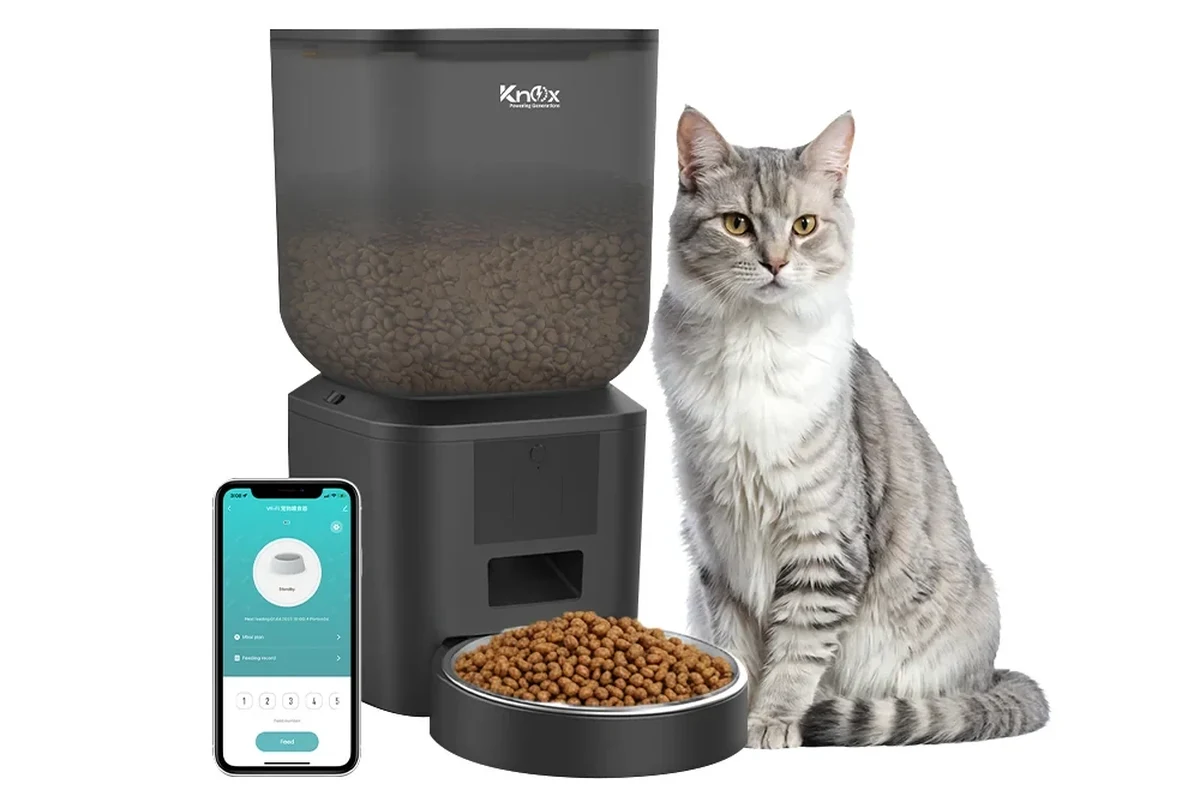 Pet Feeding Station vs Elevated Feeder Which Is Best in the UAE