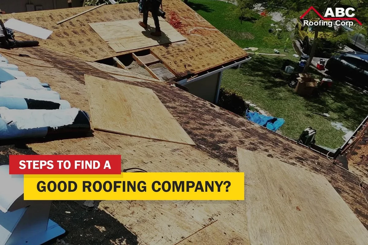 Type of Roof Shingles Best Options for Your Home Renovation