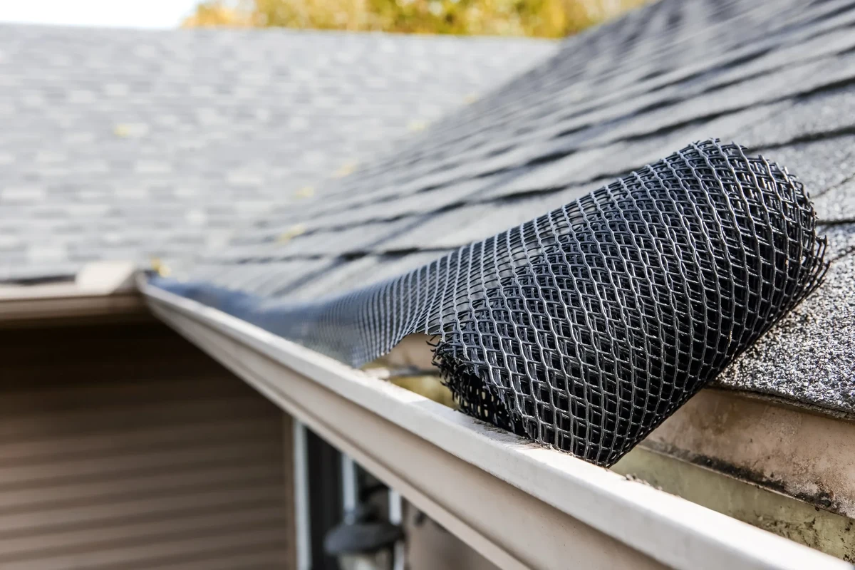 Are Gutters Necessary for Protecting Your Home from Damage