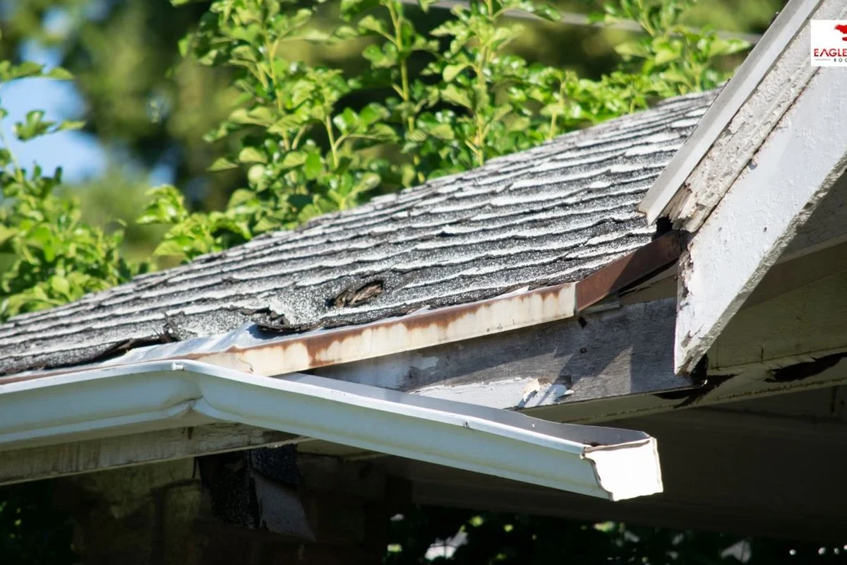 What Is a Gutter Essential for Protecting Your Home