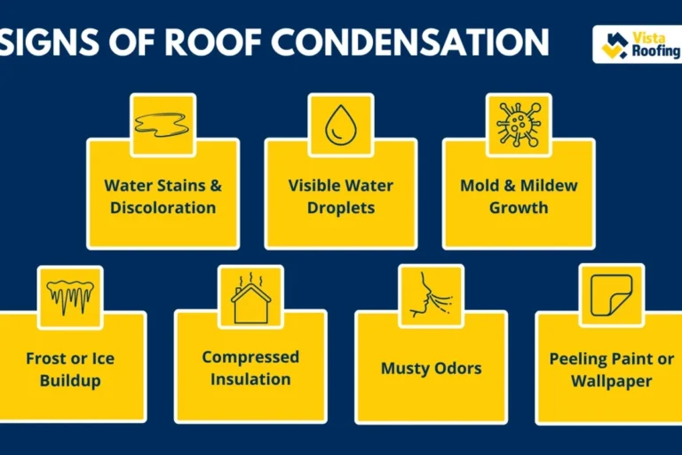 Signs of Roof Condensation How to Protect Your Home