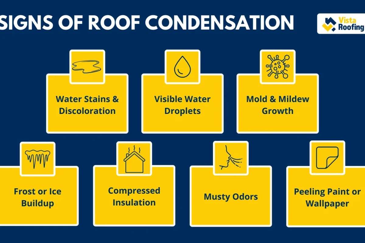 Signs of Roof Condensation How to Protect Your Home