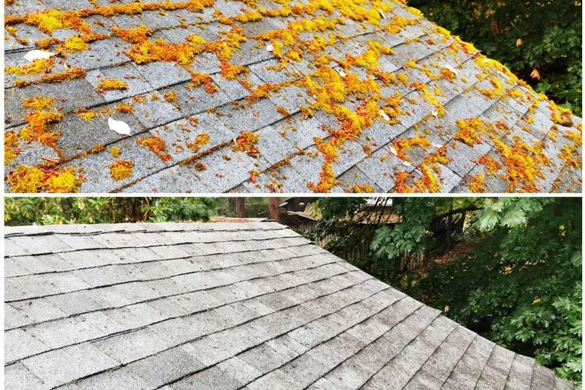 Roof Moss Cleaner Tool for Effortless Roof Maintenance