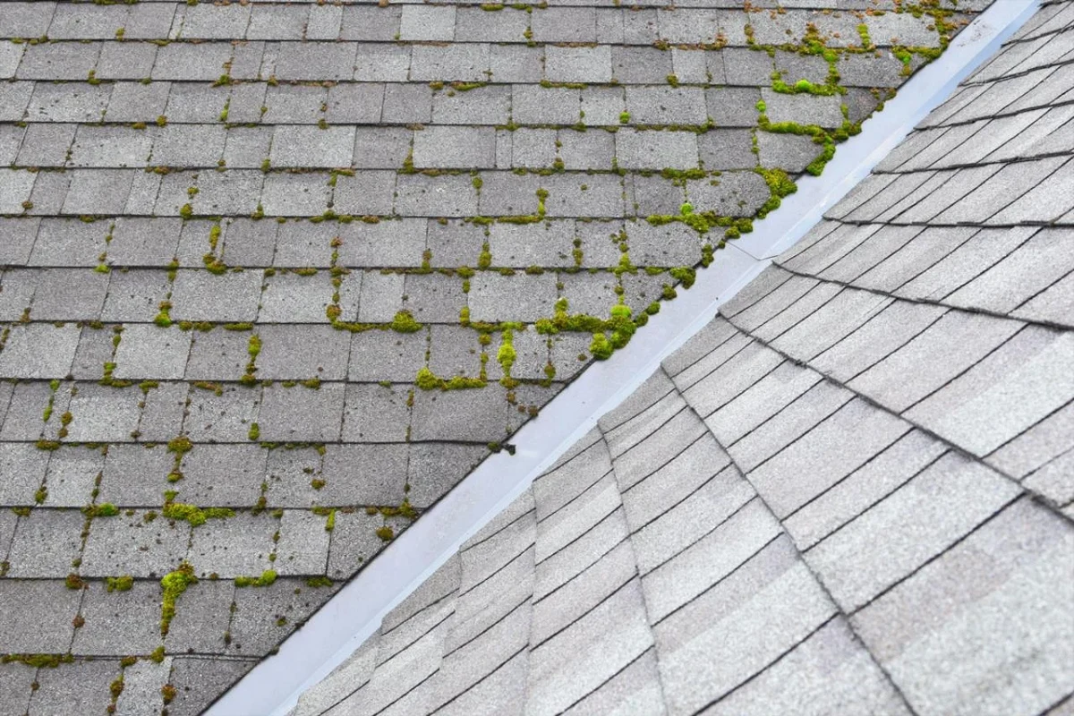 Pressure Wash Roof Moss for a Cleaner and Safer Home