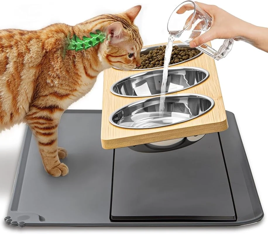 Elevated Cat Food Bowls Set with Mat, 15° Tilt for Anti-Vomit Feeding, Perfect for Kittens
