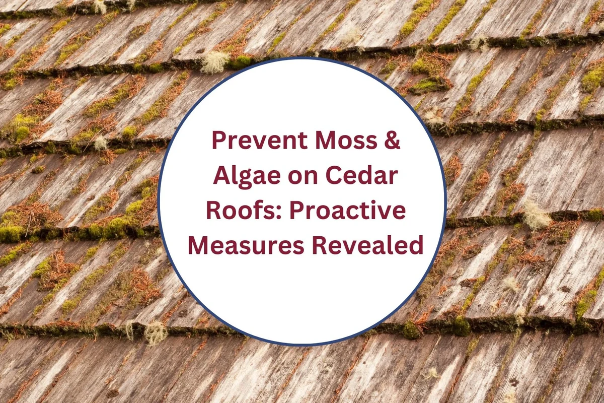 Roof Moss Prevention Treatment for a Cleaner Longerlasting