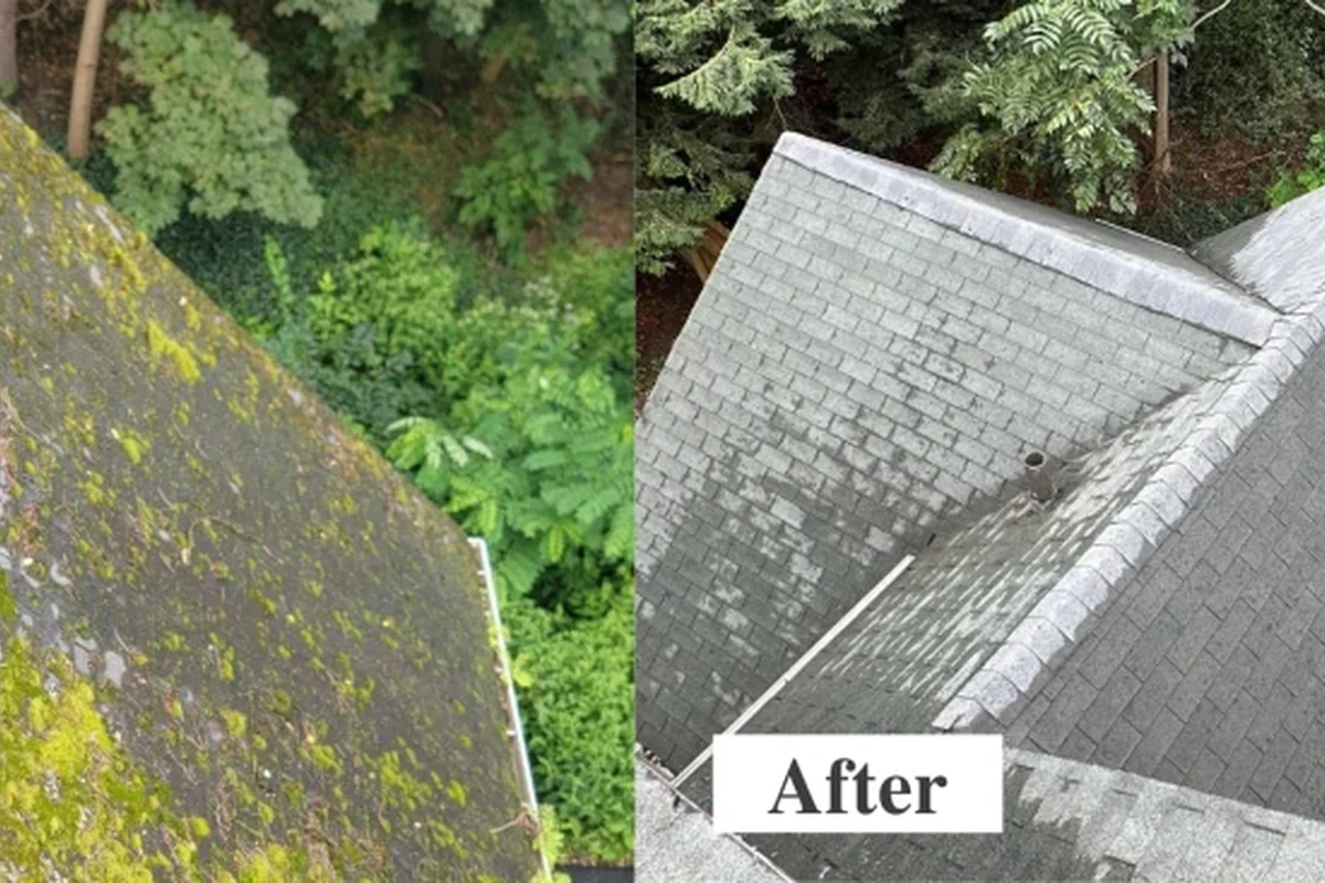 How to Remove Roof Moss Naturally for a Cleaner Home