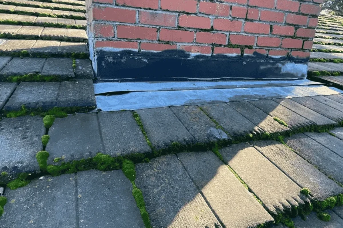 Homemade Roof Moss Killer Recipe for a Cleaner Roof Today