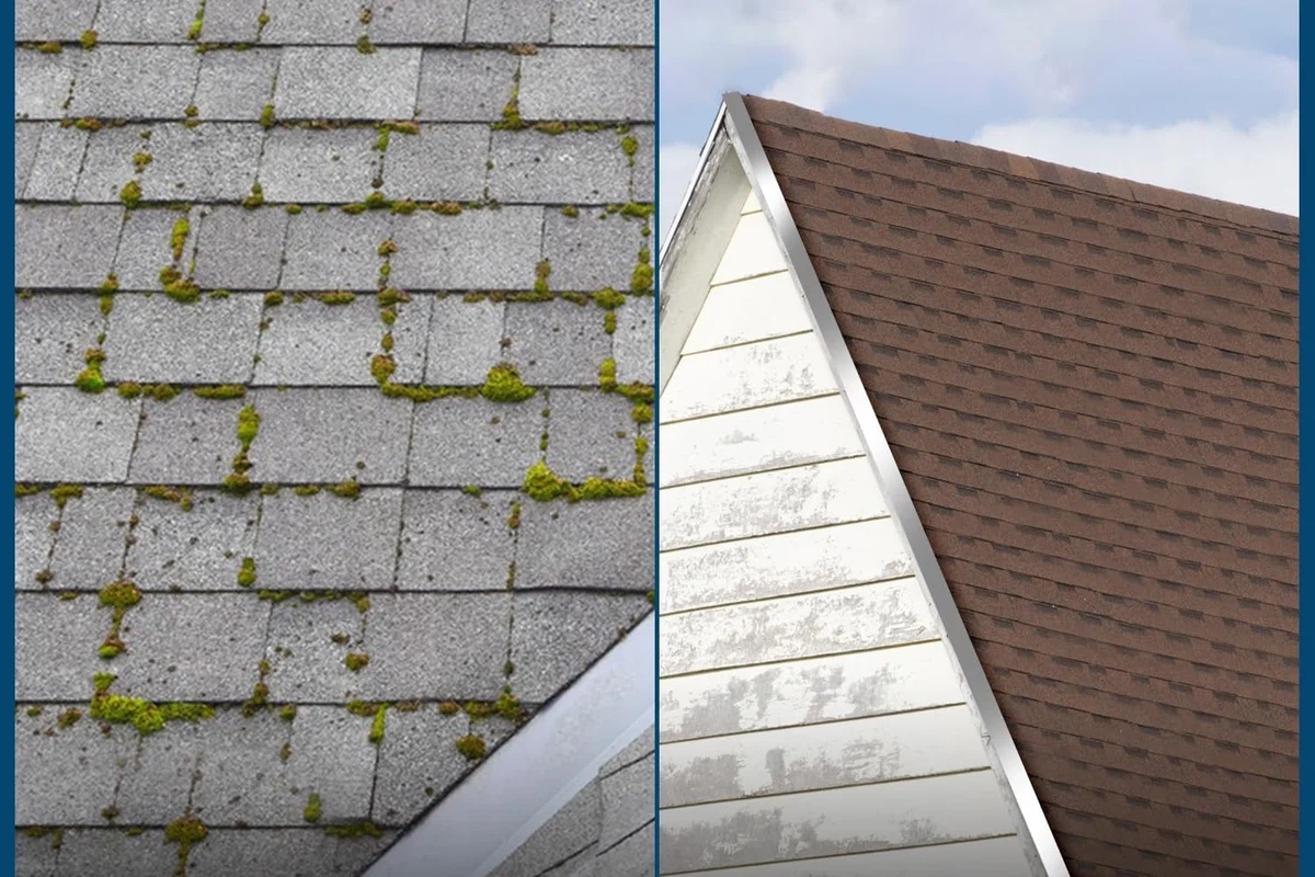Wet and Forget for Roof Moss Effortless Cleaning