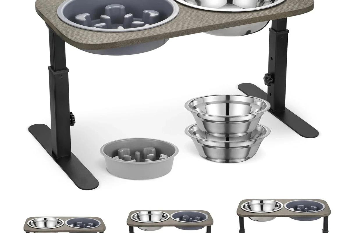 Pet Feeding Station vs Slow Feeder Bowl Which Is Best in the UAE