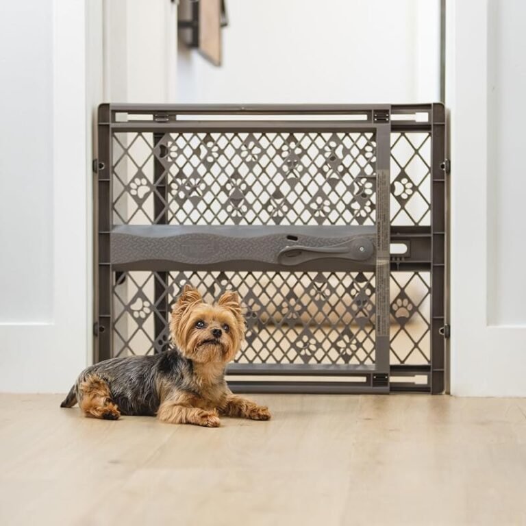 Best Pet Gate for Stairs: A Guide for UAE Families and Renters