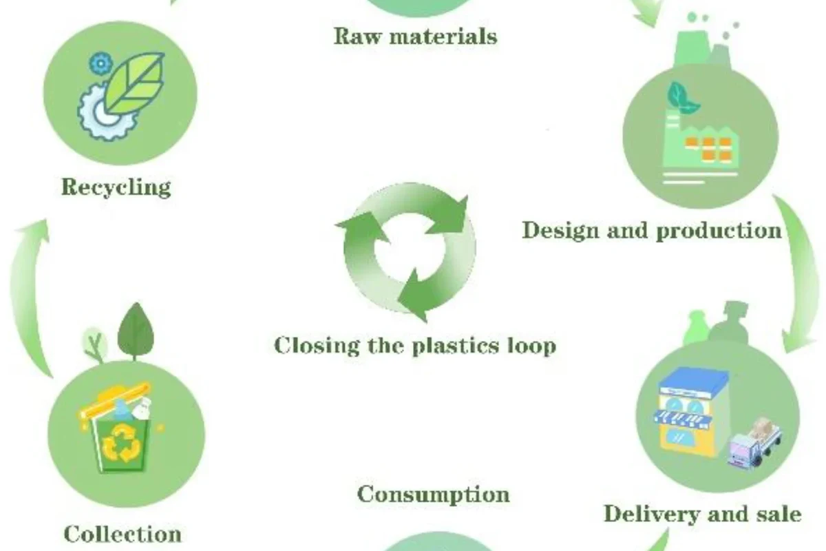 Biodegradable Pet Product Buying Guide for Ecofriendly in the UAE