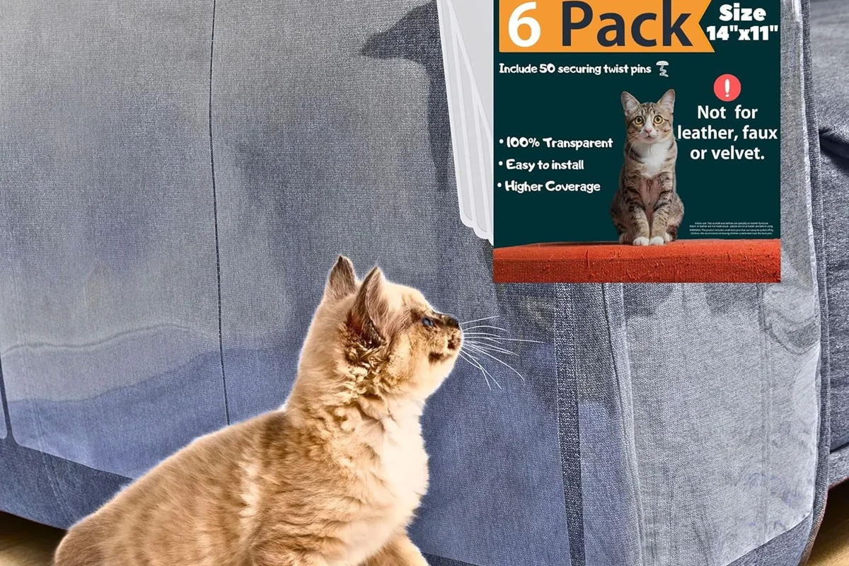 How to Protect Furniture from Cats and Keep Your Home in the UAE