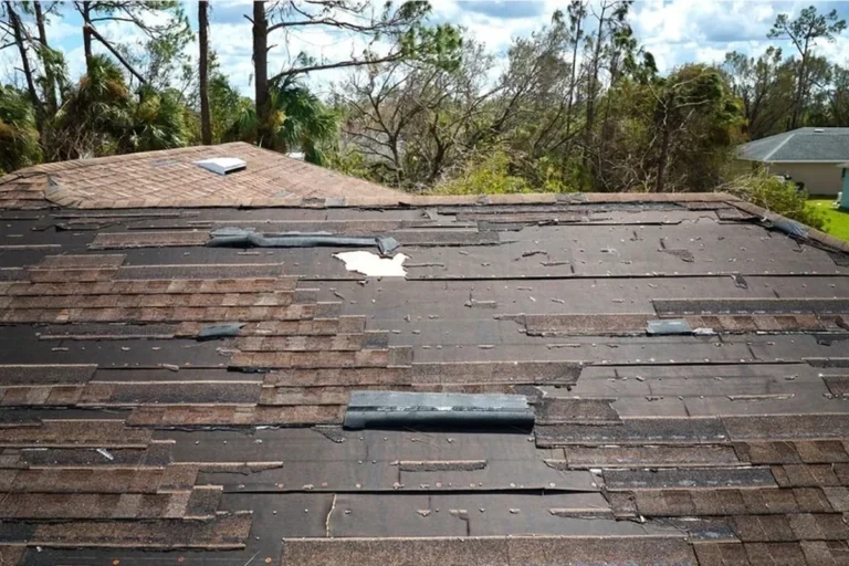 Signs of Roof Damage You Cant Afford to Ignore for Safety