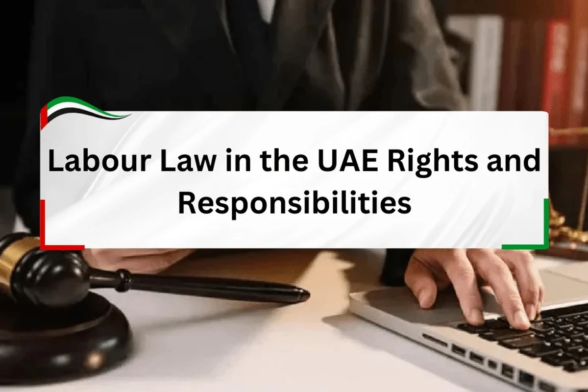 Tenant Rights in Abu Dhabi: What You Need to Know in the UAE