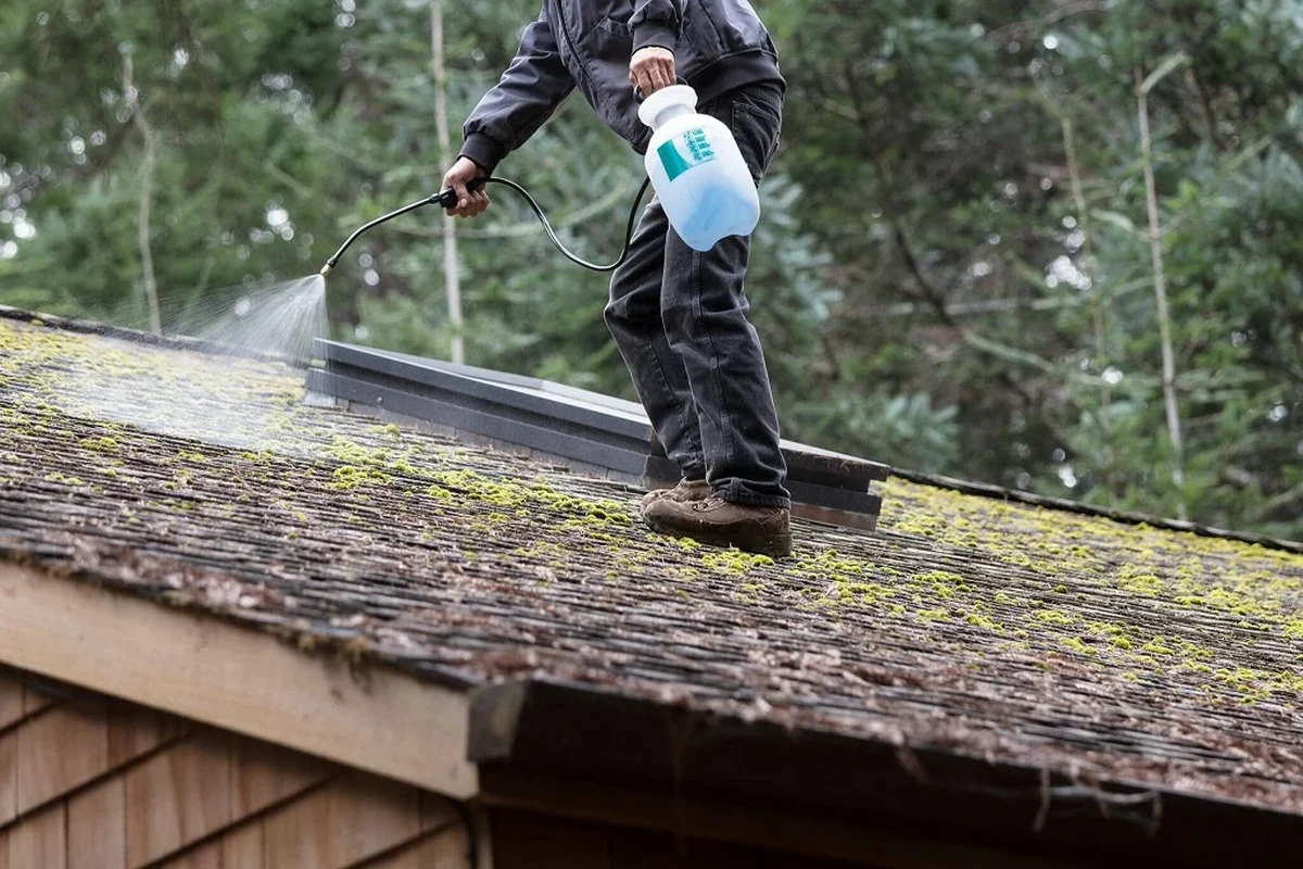 How to Clean Roof Shingles for a Longerlasting Roof Shine