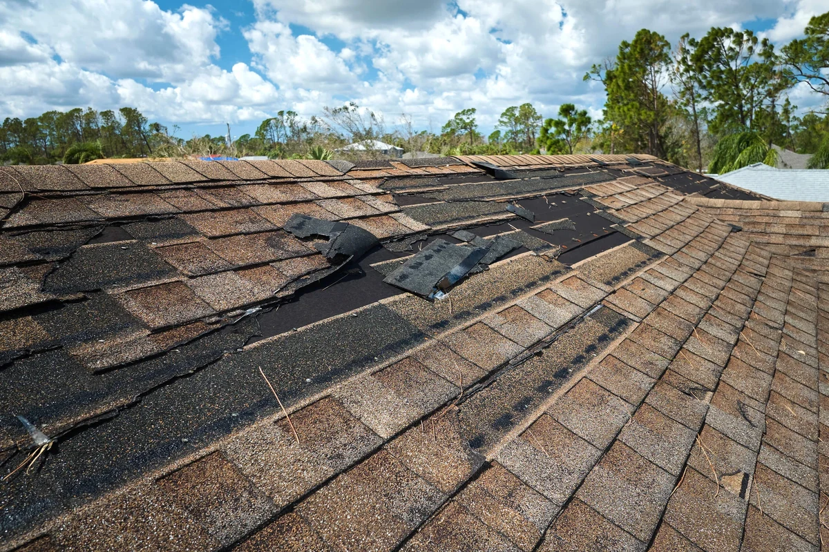 Asphalt Shingle Roof Leak Repair Tips for a Durable Home