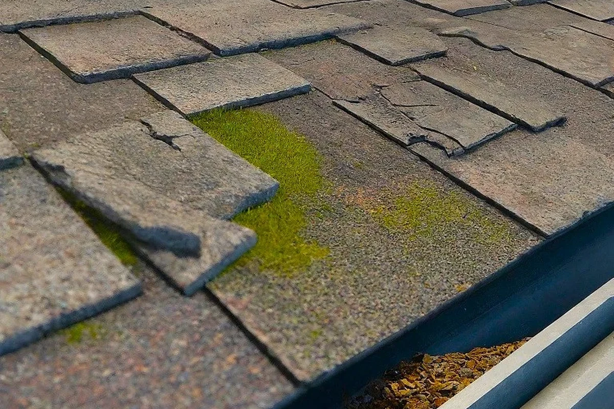 Asphalt Shingle Roof Repair Tips for Lasting Protection