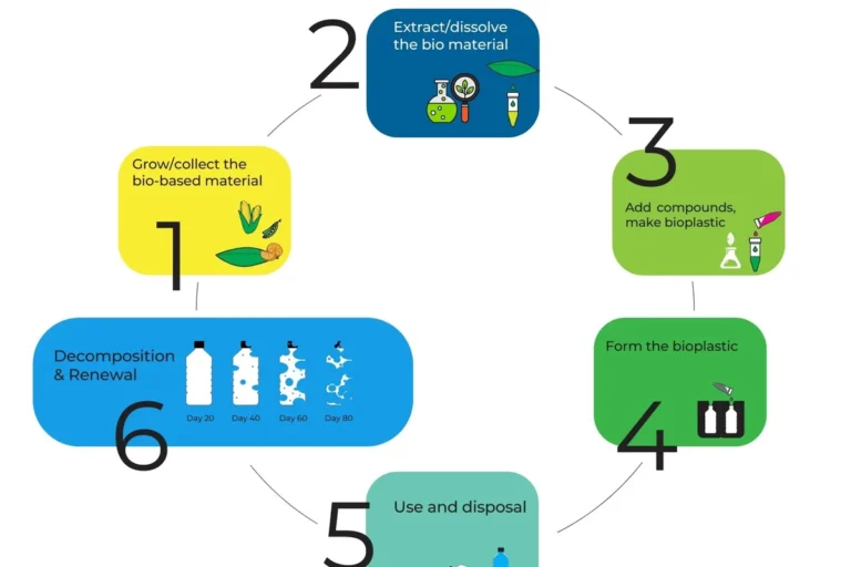 Biodegradable Pet Product vs Eco-friendly Alternative in the UAE