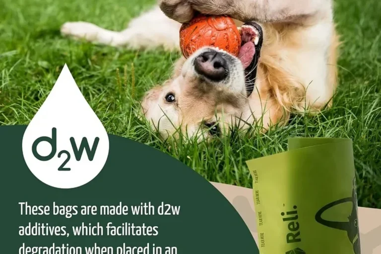 Biodegradable Pet Product Buying Guide for Ecofriendly in the UAE