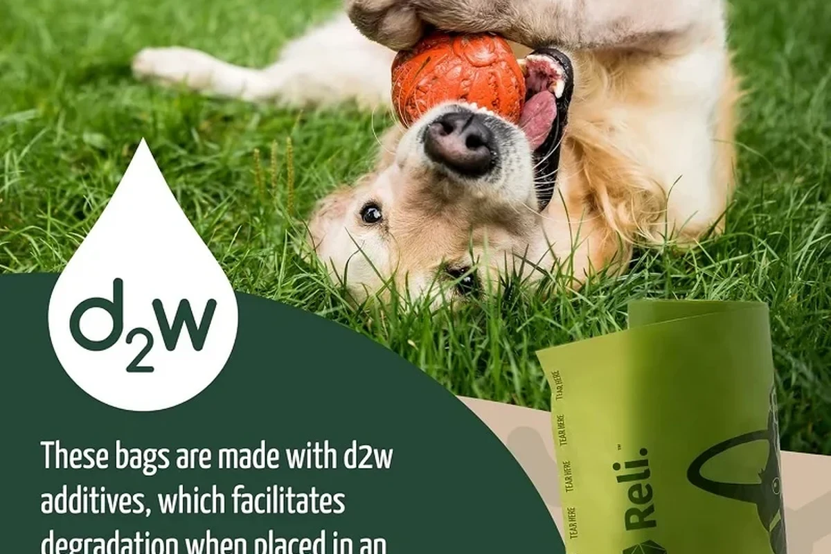 Biodegradable Pet Product Buying Guide for Ecofriendly in the UAE