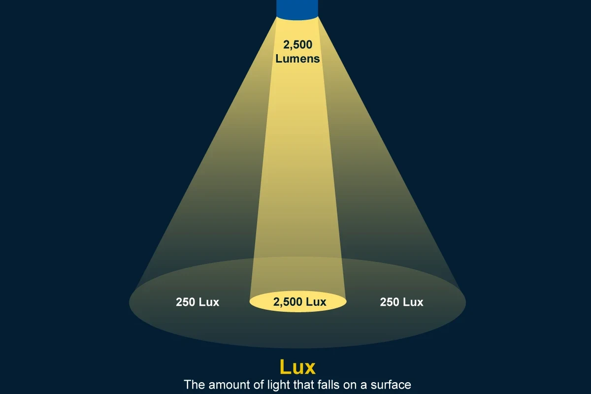 Desk Lamp Buying Guide: Brightness and Color Temperature in the UAE