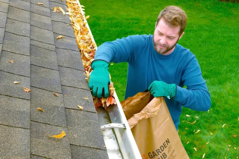 How to Clean Gutters for a Safer and Healthier Home