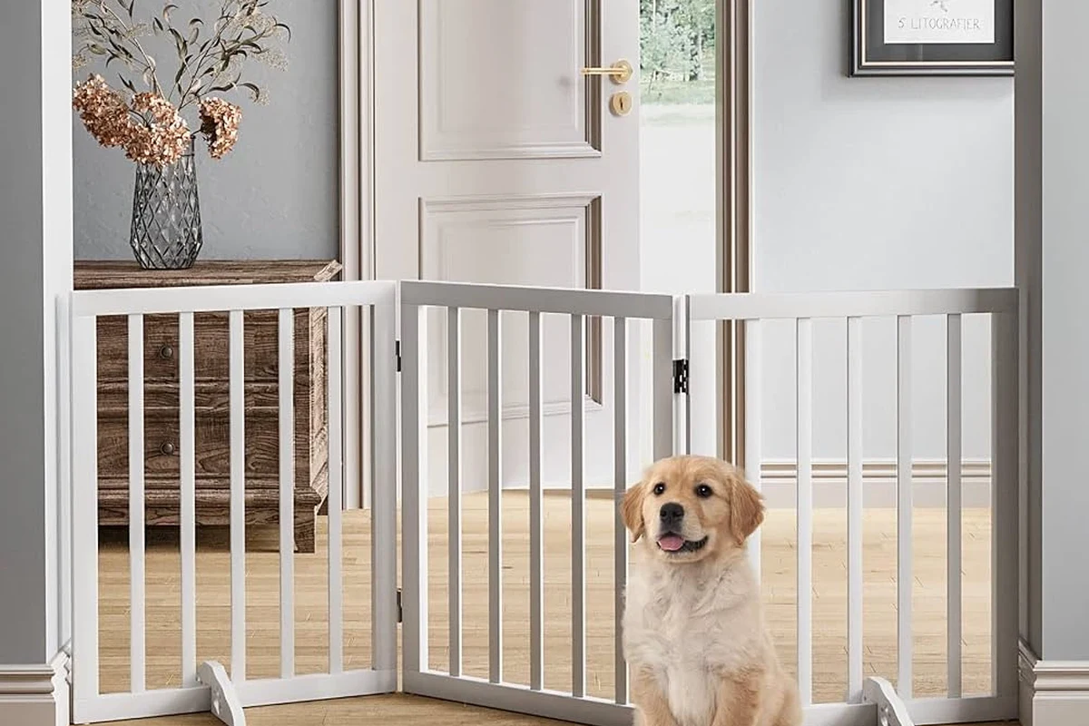 How to Choose a Pet Gate for Your Home for Safety and Style in the UAE