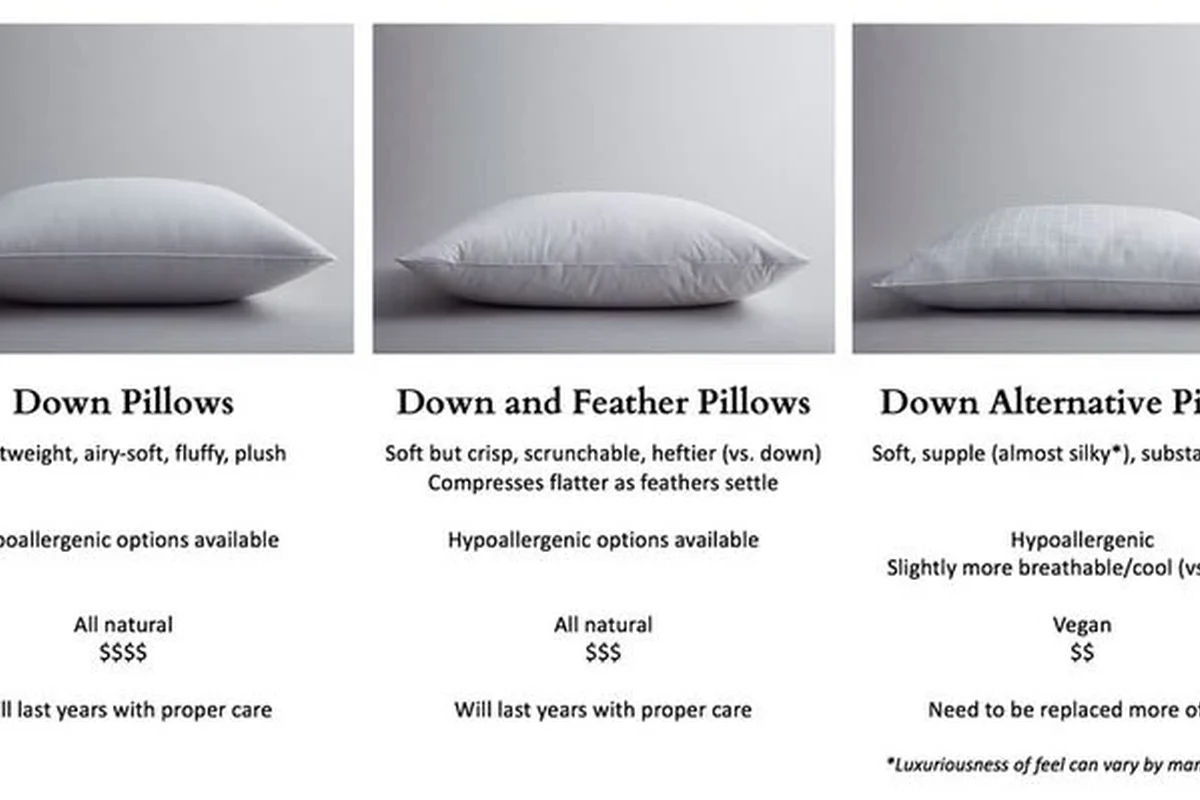 Pillow vs Down Pillow Discover Which Offers Better Comfort in the UAE