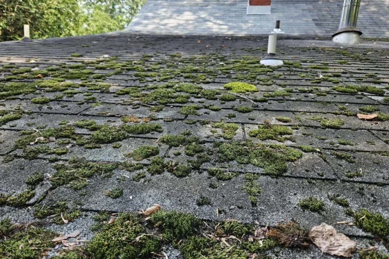 Baking Soda Roof Moss Easy Solutions for a Cleaner Roof