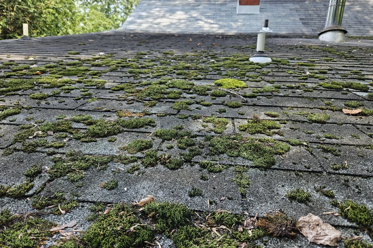 Baking Soda Roof Moss Easy Solutions for a Cleaner Roof