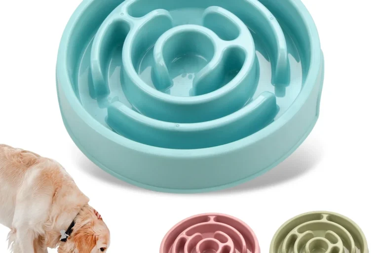 Pet Feeding Station vs Slow Feeder Bowl Which Is Best in the UAE
