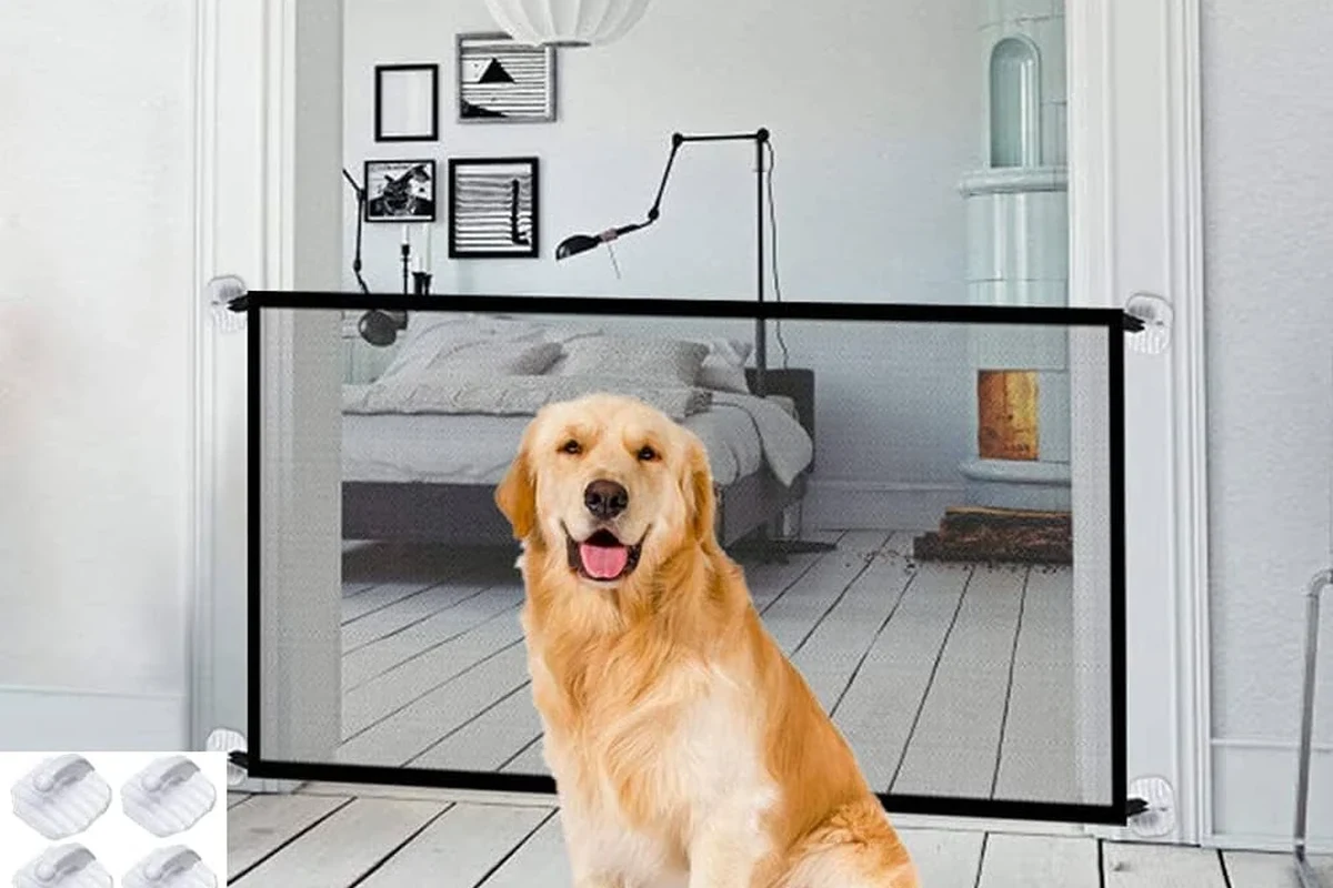 Pet Gate Buying Guide Find the Perfect Fit for Your Home in the UAE