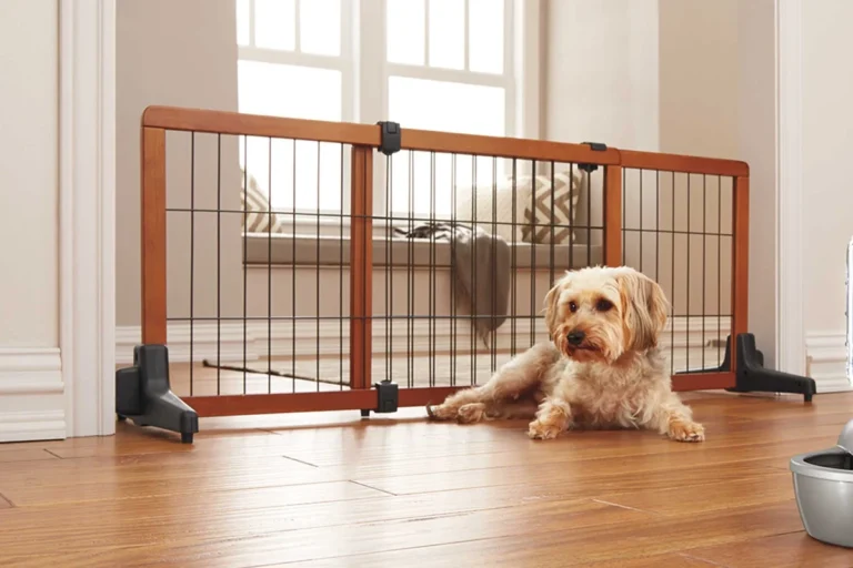 Pet Gate vs Pressure-mounted Gate – Which Is Best for Safety