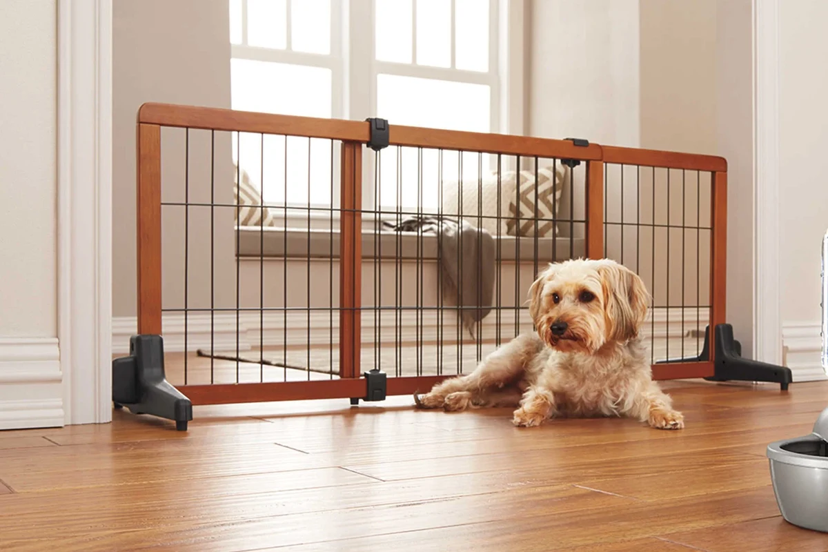 Pet Gate vs Pressure-mounted Gate - Which Is Best for Safety in the UAE