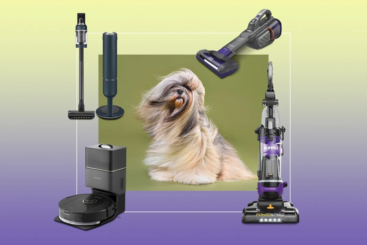 Pet Hair Vacuum vs Upright Vacuum Which One Cleans Better in the UAE
