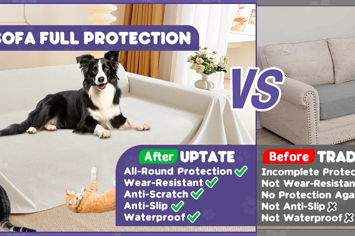 Pet-proof Furniture Buying Guide - Keep Your Home Stylish in the UAE