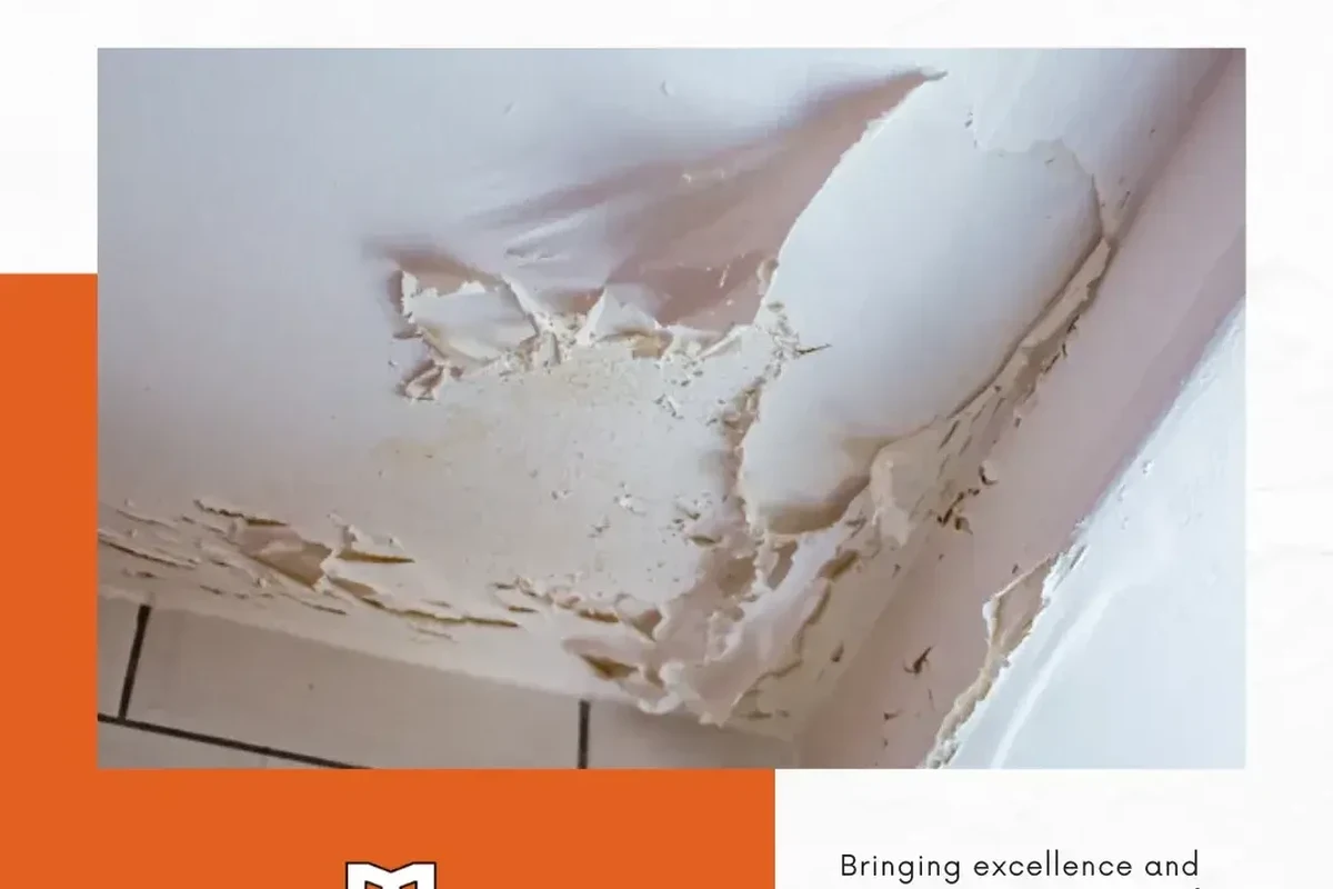 Flat Roof Leaking Through Ceiling How to Fix IT Fast
